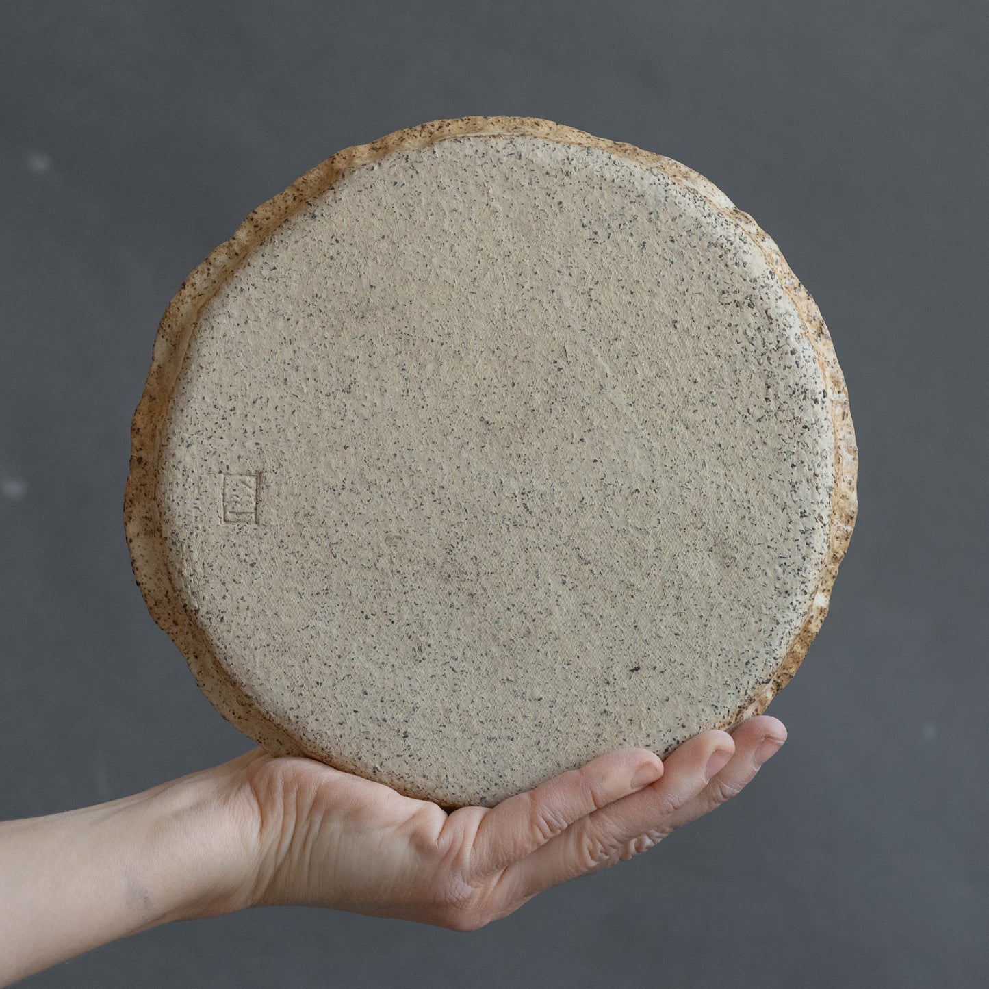 Set of 8 wabi sabi beige plates matt glazed, stoneware handmade ceramics, discounted item