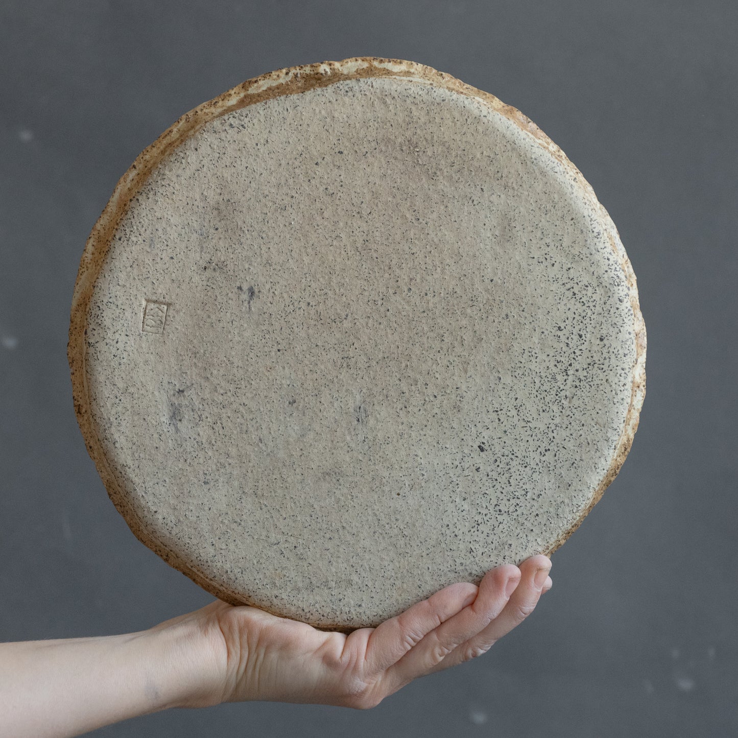 Set of 8 wabi sabi beige plates matt glazed, stoneware handmade ceramics, discounted item