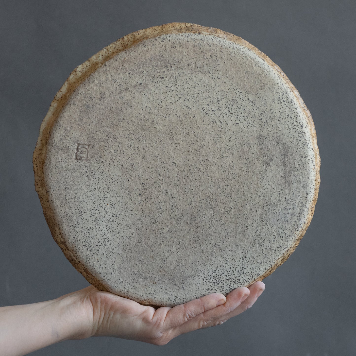 Set of 8 wabi sabi beige plates matt glazed, stoneware handmade ceramics, discounted item